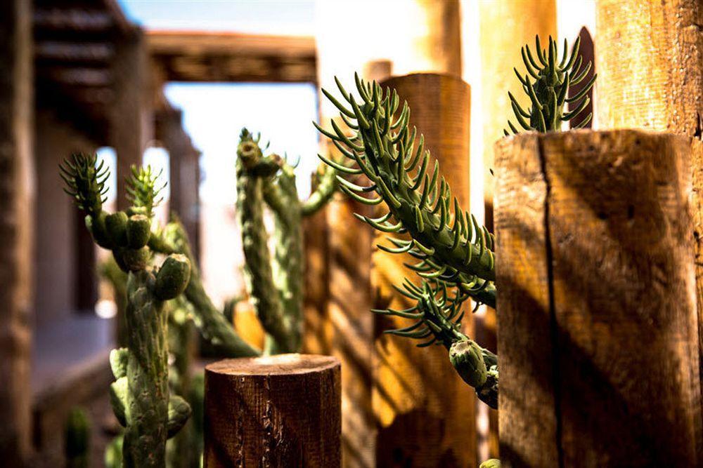 Hotel Noi Bordeloa à Calama Extérieur photo